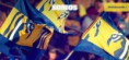 /album/tigres/images-7-jpg/